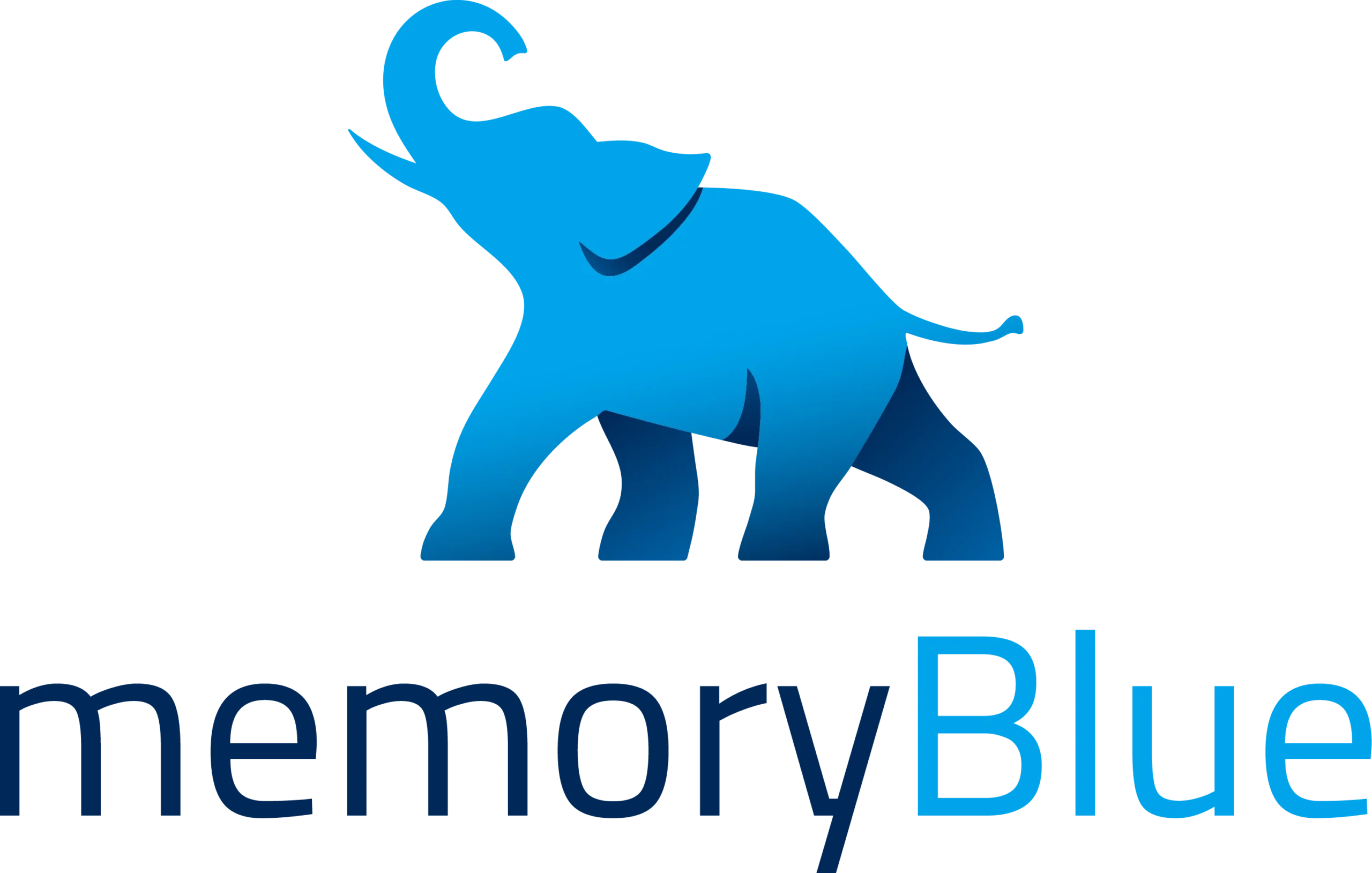 MemoryBlue Logo
