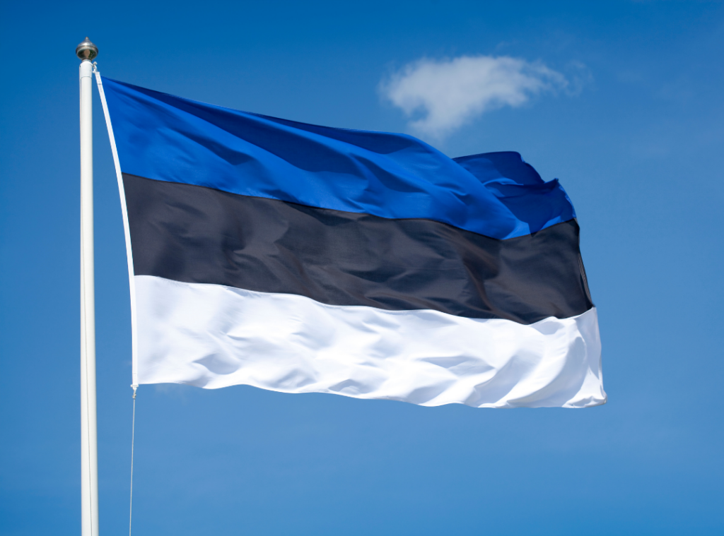 Estonia Flag